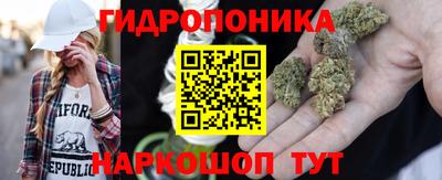 стафф Гусев