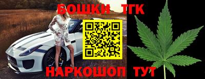 стафф Гусев